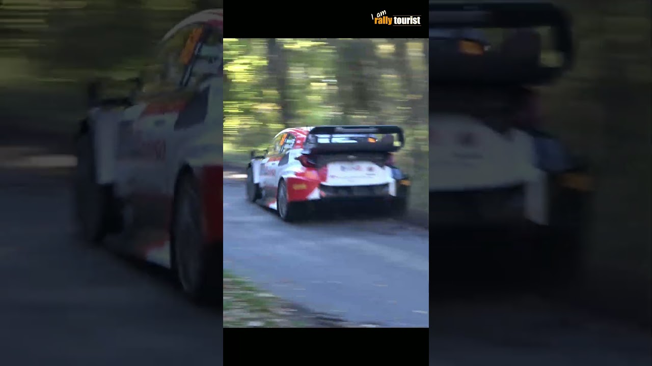 Kalle flat out I 2023 WRC CER