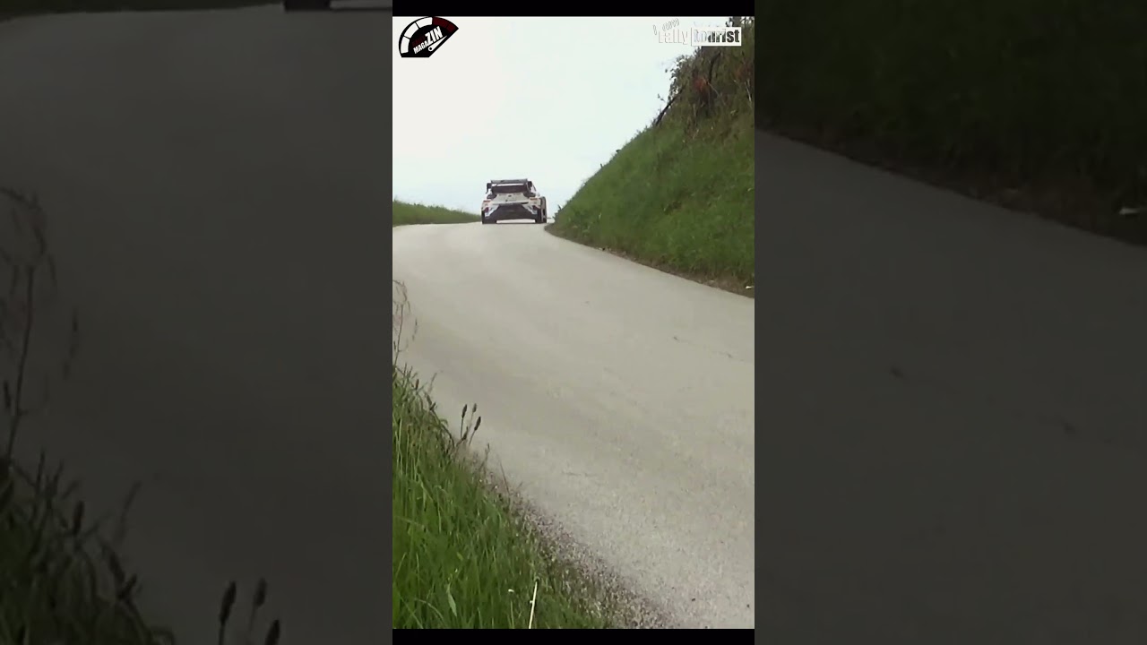 Are the rallycars fast? #rally #fast #topspeed #maxattack